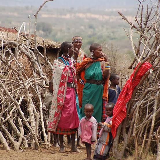 Culture Corner: Polygyny among the Maasai of Kenya