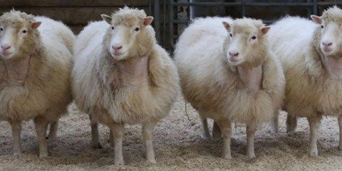 Wait, Which one is You Again?