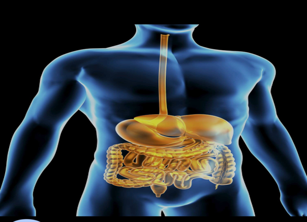 Your gut, your health.