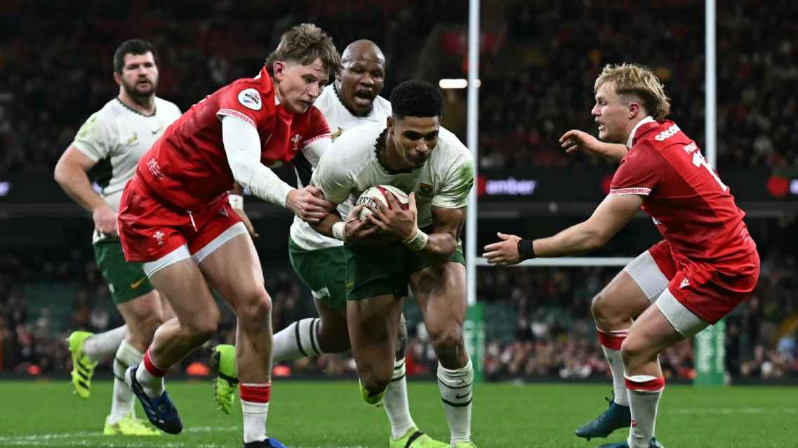 Springboks Finish 2025 With Ruthless 73–0 “Demolition Job” on Wales